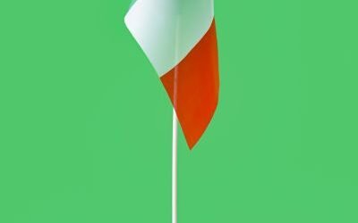 Das Substantiv im Italienischen